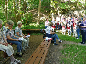 Maiandacht in der Fatima Grotte (Foto: Karl-Franz Thiede)